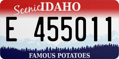 ID license plate E455011