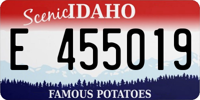 ID license plate E455019