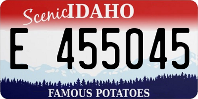ID license plate E455045