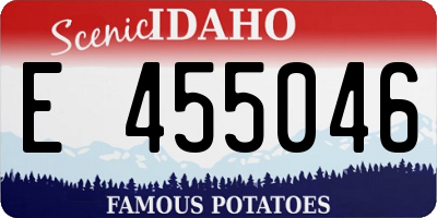 ID license plate E455046