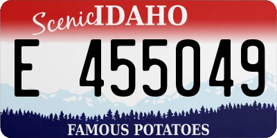 ID license plate E455049