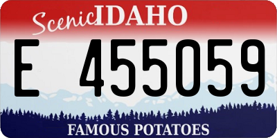 ID license plate E455059