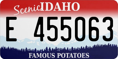 ID license plate E455063