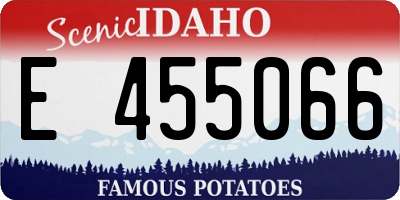 ID license plate E455066