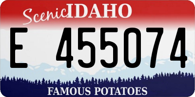 ID license plate E455074