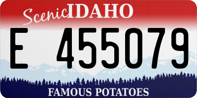 ID license plate E455079