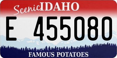 ID license plate E455080