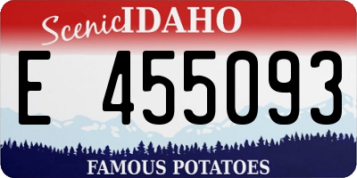 ID license plate E455093