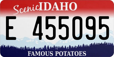ID license plate E455095