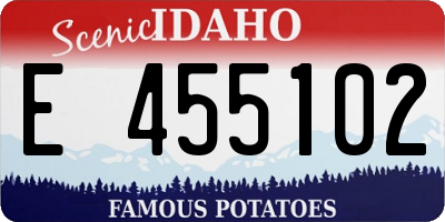 ID license plate E455102