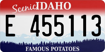 ID license plate E455113
