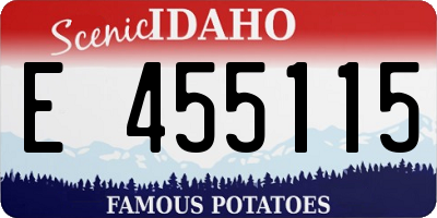 ID license plate E455115