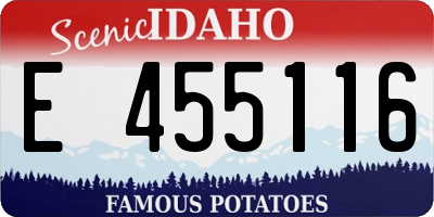 ID license plate E455116