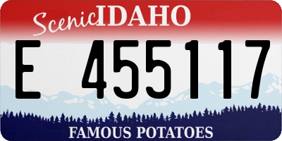 ID license plate E455117