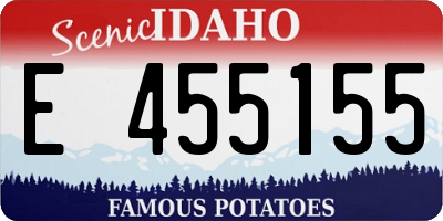 ID license plate E455155