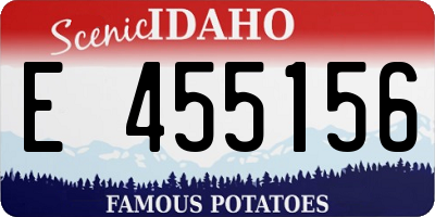 ID license plate E455156