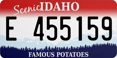 ID license plate E455159