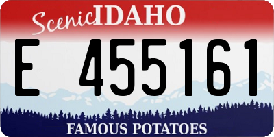 ID license plate E455161