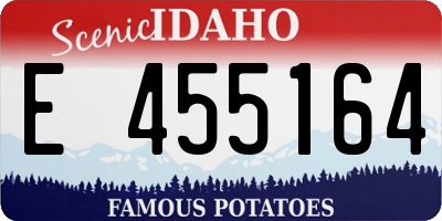 ID license plate E455164