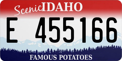 ID license plate E455166