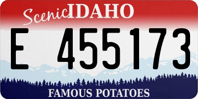 ID license plate E455173