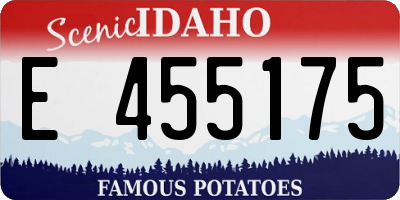 ID license plate E455175