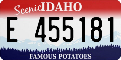 ID license plate E455181