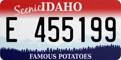 ID license plate E455199