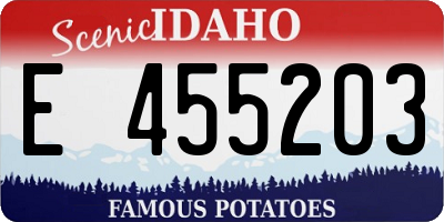 ID license plate E455203