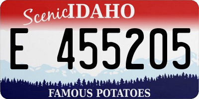 ID license plate E455205