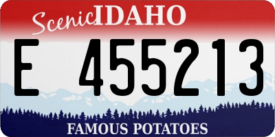 ID license plate E455213