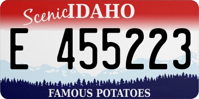 ID license plate E455223