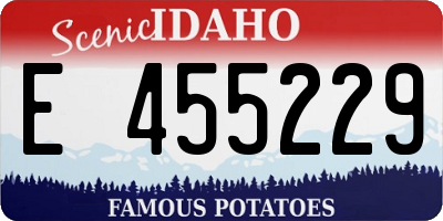 ID license plate E455229