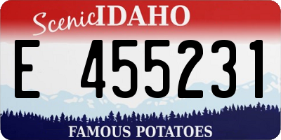 ID license plate E455231