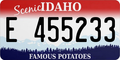 ID license plate E455233