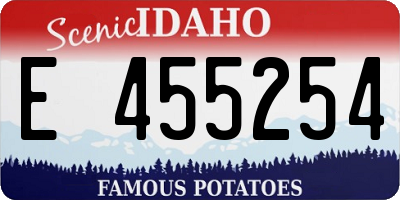 ID license plate E455254