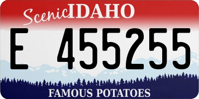 ID license plate E455255