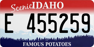 ID license plate E455259