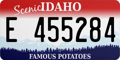 ID license plate E455284