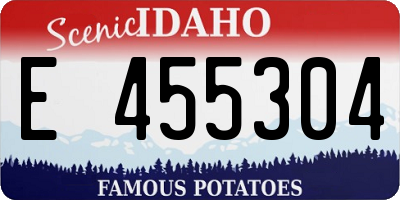 ID license plate E455304