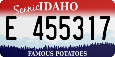ID license plate E455317