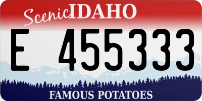 ID license plate E455333