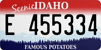 ID license plate E455334