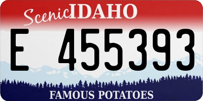 ID license plate E455393