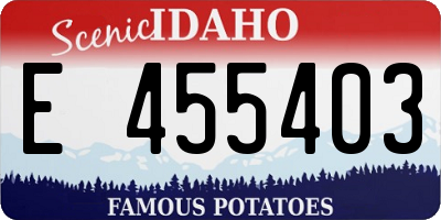 ID license plate E455403