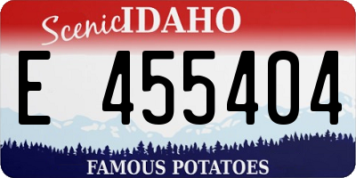 ID license plate E455404