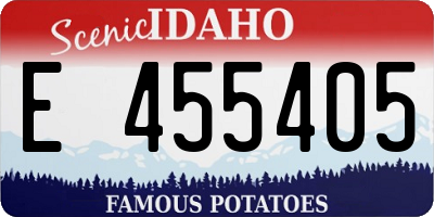 ID license plate E455405