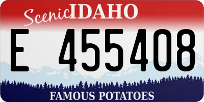 ID license plate E455408