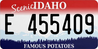 ID license plate E455409