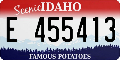 ID license plate E455413